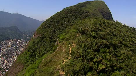 Fliegen-über-Palmen-und-Hügel,-Rio-de-Janeiro,-Brasilien