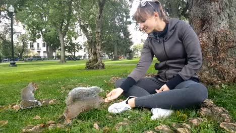 CLOSE-UP:-Young-woman-giving-food-to-squirrels-in-Boston-Common-local-park,-USA