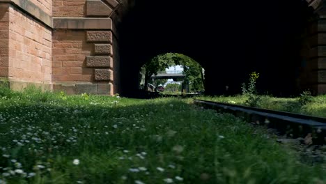 Daisies-and-the-Locomotive-Train-in-Frankfurt