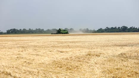 Mähdrescher-auf-dem-Weizenfeld,-grüne-Mähdrescher-auf-dem-Feld-arbeiten,-sehen-Sie-sich-auf-den-Mähdrescher-und-Traktoren-arbeiten-an-großen-Weizenfeld