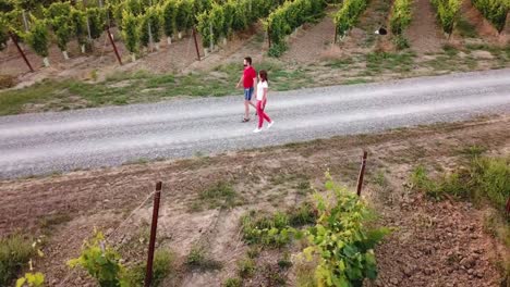 Piombino,-Livorno,-Tuscany,-Italy.-Young-adult-couple-walking-down-the-road-in-vineyards.-Aerial-view