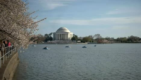 Tretboote-auf-dem-Gezeiten-Bassin-mit-Jefferson-memorial