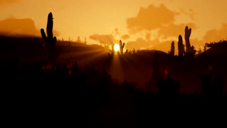 Saguaro-Cactus-in-Desert-against-beautiful-morning-Sunrise,-zoom-out