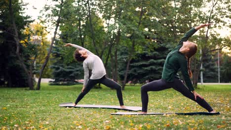 Zwei-schöne-Mädchen-Yogalehrer-und-Schüler-üben-Abfolge-von-Asanas-im-Park-stehen-auf-Matten-und-beweglichen-Körper-und-Arme.-Millennials-und-Freizeit-Konzept.