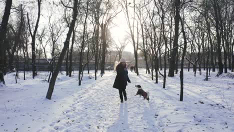 Young-woman-running-with-Jack-Russell-terrier-in-winter-time-through-park,-aerial-view,-drone-footage