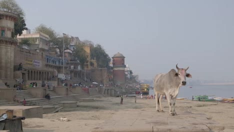 Varanasi,-am-Ufer-von-Ganga,-ist-die-spirituelle-Hauptstadt-Indiens-für-Hindus