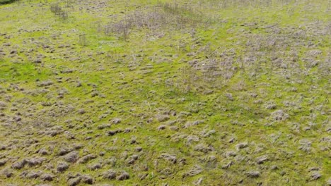 STP23_Flying-über-grasbewachsenes-Feld,-das-sich-nach-links-nach-oben-bewegt-und-höher-liegt-und-ein-Grasfeld-mit-Hügeln-und-einem-kilometerlangen-Pfad-offenbart.