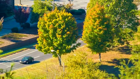 Vehicles-Passing-Autumn-Colored-Trees-in-Downtown-Asheville,-NC