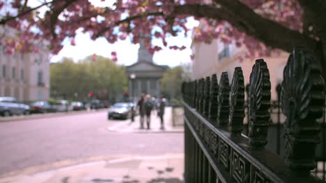 Calle-de-la-ciudad-en-la-primavera,-Marylebone,-Londres,-enfoque-diferencial