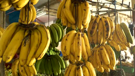 Bananen-auf-dem-Obstmarkt