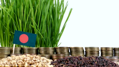 Bangladesh-flag-waving-with-stack-of-money-coins-and-piles-of-wheat