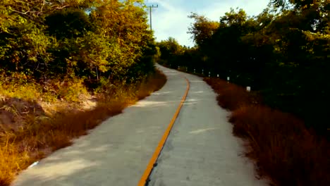 Driving-on-a-small-concrete-road-in-the-jungle