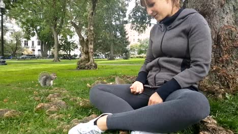 CLOSE-UP:-Chica-joven-alimentación-nueces-a-las-ardillas-en-el-parque-Boston-Common,-Estados-Unidos