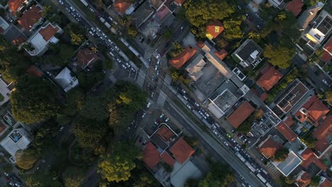 Top-View-of-Jardins-District,-Sao-Paulo-city,-Brazil