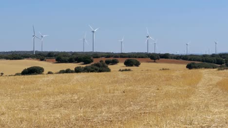 Windkraftanlagen-in-der-spanischen-Wüste