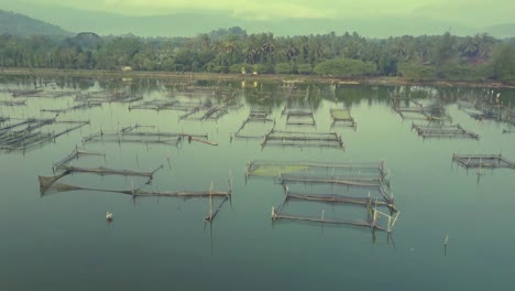 Rowo-Apung-Floating-Ort-Jombor-Klaten-Angeln-Teich-Luftbild-bei-Sonnenaufgang,-Yogyakarta,-Indonesien