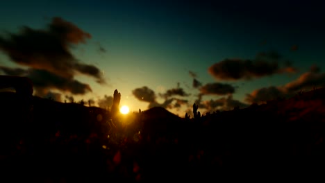 Saguaro-Kaktus-in-der-Wüste-gegen-Sonnenuntergang,-Kamera-schwenken,-4K