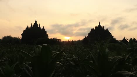 Templo-de-plaosan,-regencia-de-klaten,-java-central