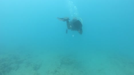 Taucher-schwimmt-unter-Meer