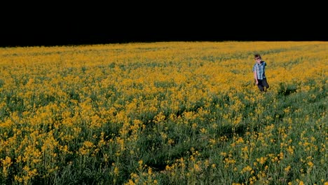 Niño-corre-en-el-campo-entre-las-flores-amarillas.