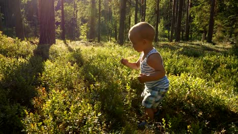 Madre-e-hijo-en-la-edad-de-un-año-a-recogen-y-comen-arándanos-silvestres