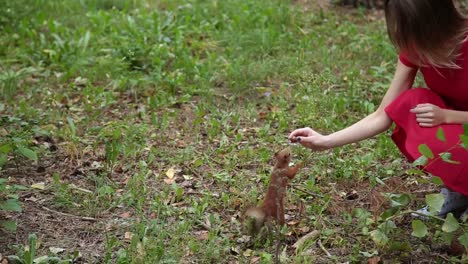 Una-chica-es-alimentar-a-una-ardilla-en-el-bosque