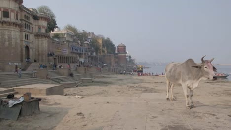 Varanasi,-en-las-orillas-de-ganga,-es-la-capital-espiritual-de-la-India-para-los-hindúes