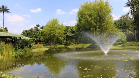 Bogota-Teich-mit-Springbrunnen-und-tropischen-Pflanzen-in-einem-öffentlichen-Garten