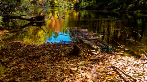 Ich-gegen-bis-zum-lebhaften-Herbstfarben-am-Wasserfall-Linville-River,-North-Carolina