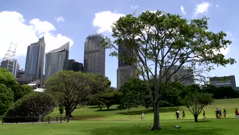 People-walking-through-the-botanic-gardens-in-Sydney