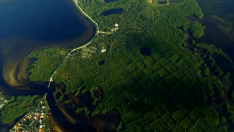 Mangrove-Forest-Aerial,-Tampa-Bay