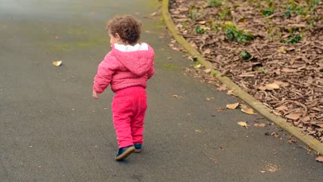 Niño-paseos-en-el-parque-solo