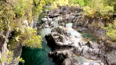 Ansicht-von-Vicente-Perez-Rosales-Nationalpark---Chile