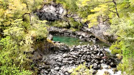 View-of-Vicente-Perez-Rosales-National-Park---Chile