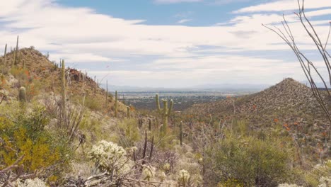 Mountains-in-the-Sonoran-Desert-in-Arizona