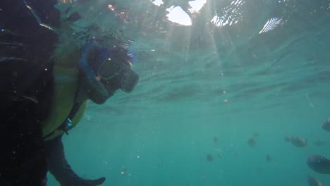 Buceo-bajo-el-agua-tomando-una-selfie-en-islas-Whitsunday,-Australia