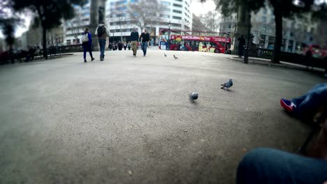 Touristischen-Pov-Interaktion-mit-Tauben-am-Plaza-Catalunya-sitzend-auf-Bank