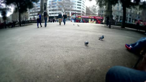 Tourist-pov-interacting-with-pigeons-on-Plaza-Catalunya-while-sitting-on-bench