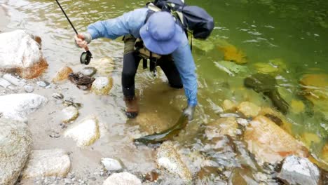 pescador-con-mosca-recogiendo-grandes-truchas