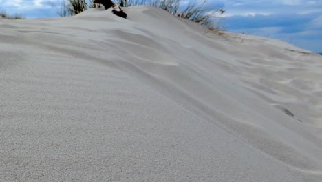 Sand-on-a-Desert-Dune-Macro