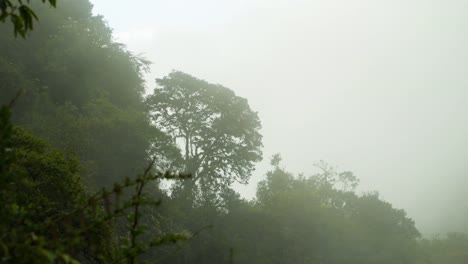 Machu-Pichu-y-la-aventura-de-llegar