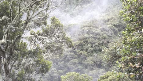 Machu-Pichu-und-das-Abenteuer-Anreise