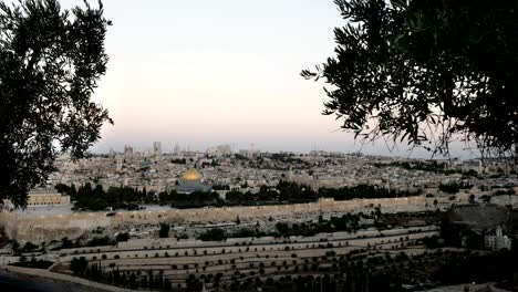 Haube-des-Felsens-in-der-Morgendämmerung,-umrahmt-von-Olivenbäumen-in-jerusalem