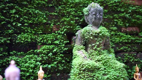 Moss-cover-buddha-statue,-calm-peaceful-religious-concept