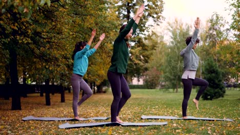 Jóvenes-delgadas-ejercen-al-aire-libre-de-flexión-hacia-delante-y-hacia-atrás-estirando-el-cuerpo-y-los-brazos.-Concepto-de-actividad,-deportes-y-personas-recreativo.