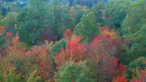 Vista-aérea-de-drones-del-follaje-de-hojas-de-otoño-/-otoño-en-la-autopista-215-desde-arriba.-Colores-amarillo,-naranja-y-rojo-vibrantes-en-Asheville,-Carolina-del-Norte-en-las-montañas-Blue-ridge.