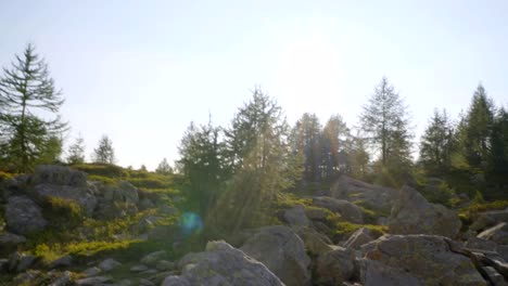 Teammate-helping-hiker-to-reach-summit.-Couple-hiking-in-Switzerland,-hand-reach-out-to-help-female-hiker-reach-the-summit.-A-helping-hand-concept