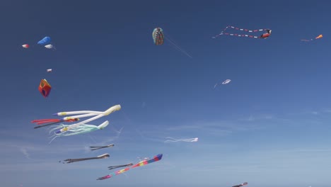 Various-kites-in-the-sky-on-Wind-Festival-in-Valencia,-Spain