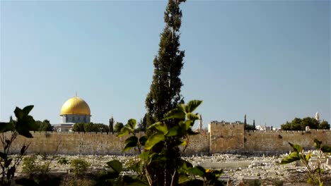 Jerusalem-old-city-panorama