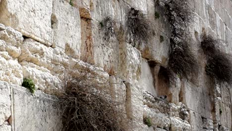 Klagemauer